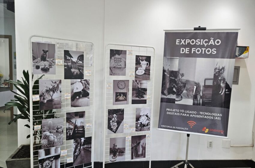  Exposição de fotos produzidas por aposentados ficará em evidência no espaço Mario Crosa da Câmara de Vereadores